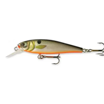 goldy-gold-fish-5-5-mrs-f