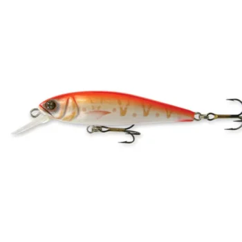 goldy-gold-fish-5-5-rd-f