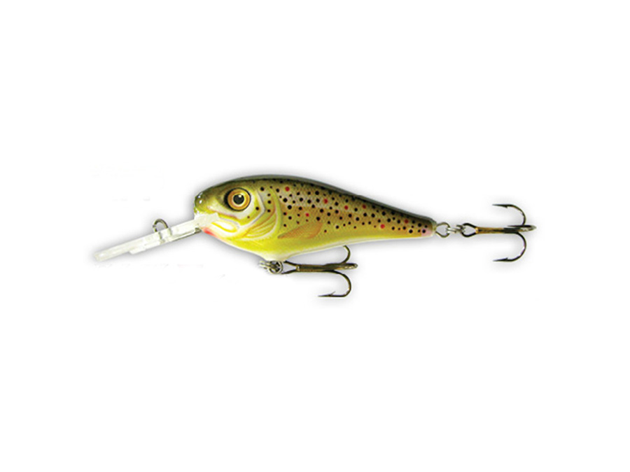 Goldy Troter 6 MPP F Goldy Troter 6 MPP F