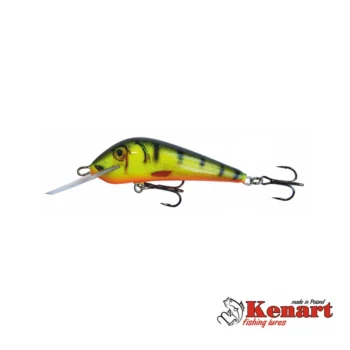 kenart-dynamic-5-npx-f