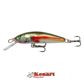 kenart-spike-5-rtr-f
