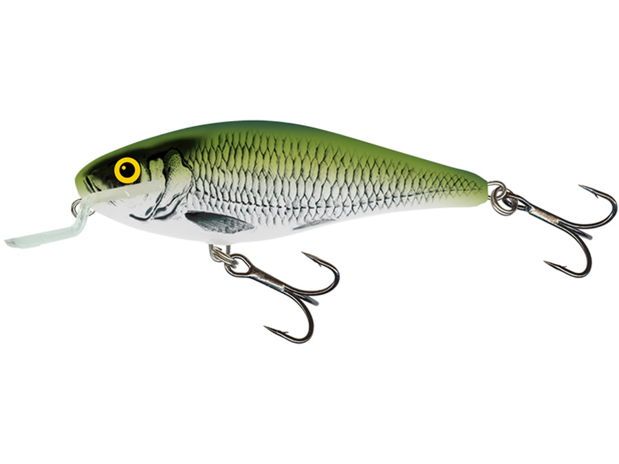 Salmo Executor 7 OB je vobler- namenjen ya troling tehniku pecanja. Salmo Executor 7 je specijalno oruzije pred kojim ni jedan predator nema sansu.