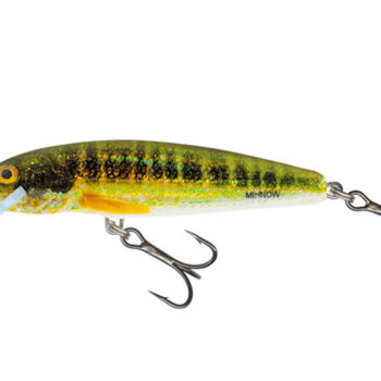 Salmo Minnow 7 HRM