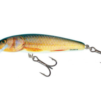 Salmo Minnow 7 RR