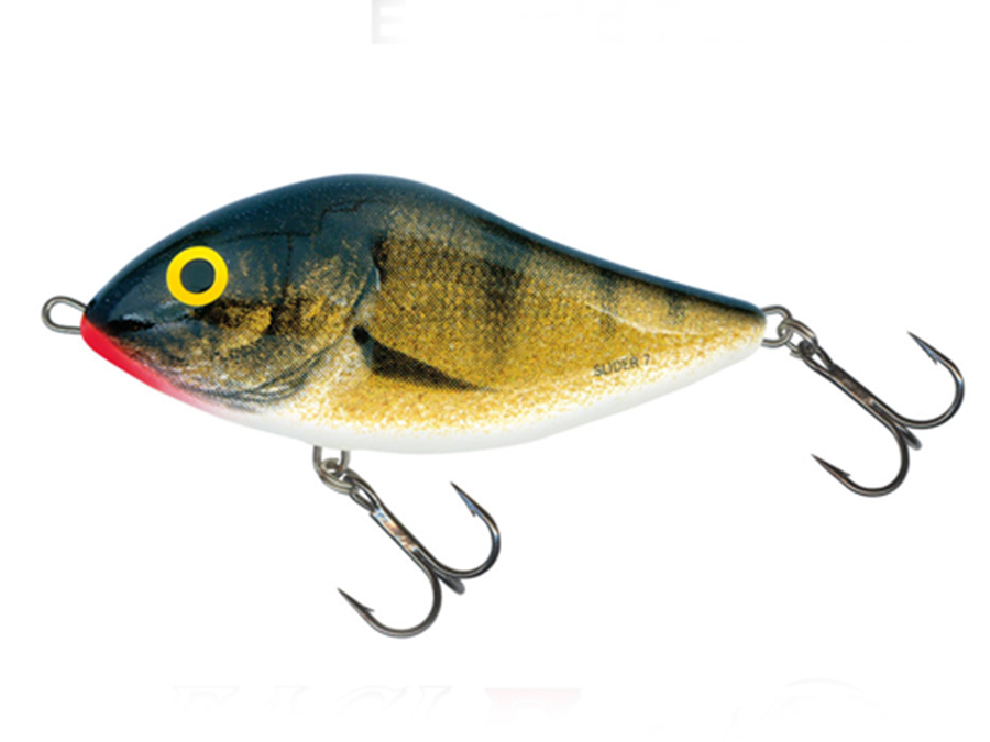 Salmo Slider 5 EP Salmo Slider 5 EP