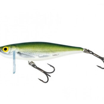 Salmo Thrill 7 OB