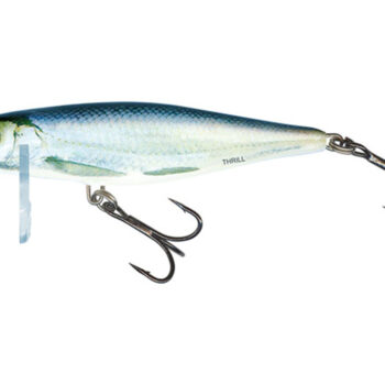 Salmo Thrill 7 RBL