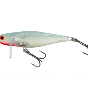 Salmo Thrill 5 SGH